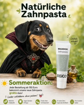 Natürliche Zahnpasta von Rico