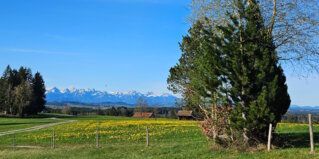 Aussicht der Jagdhütte